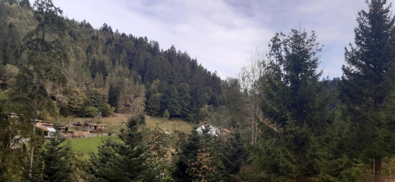 Le Montagnard Apartment Gérardmer Екстериор снимка