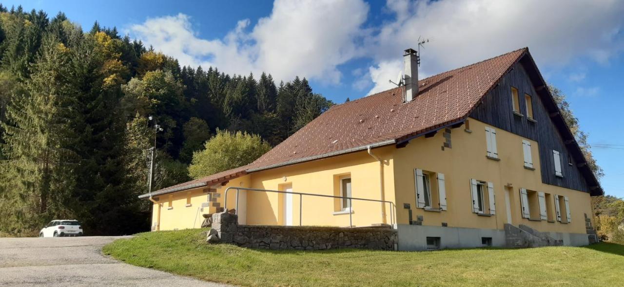 Le Montagnard Apartment Gérardmer Екстериор снимка