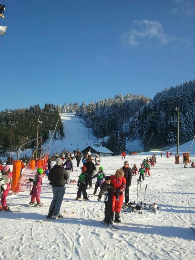 Le Montagnard Apartment Gérardmer Екстериор снимка