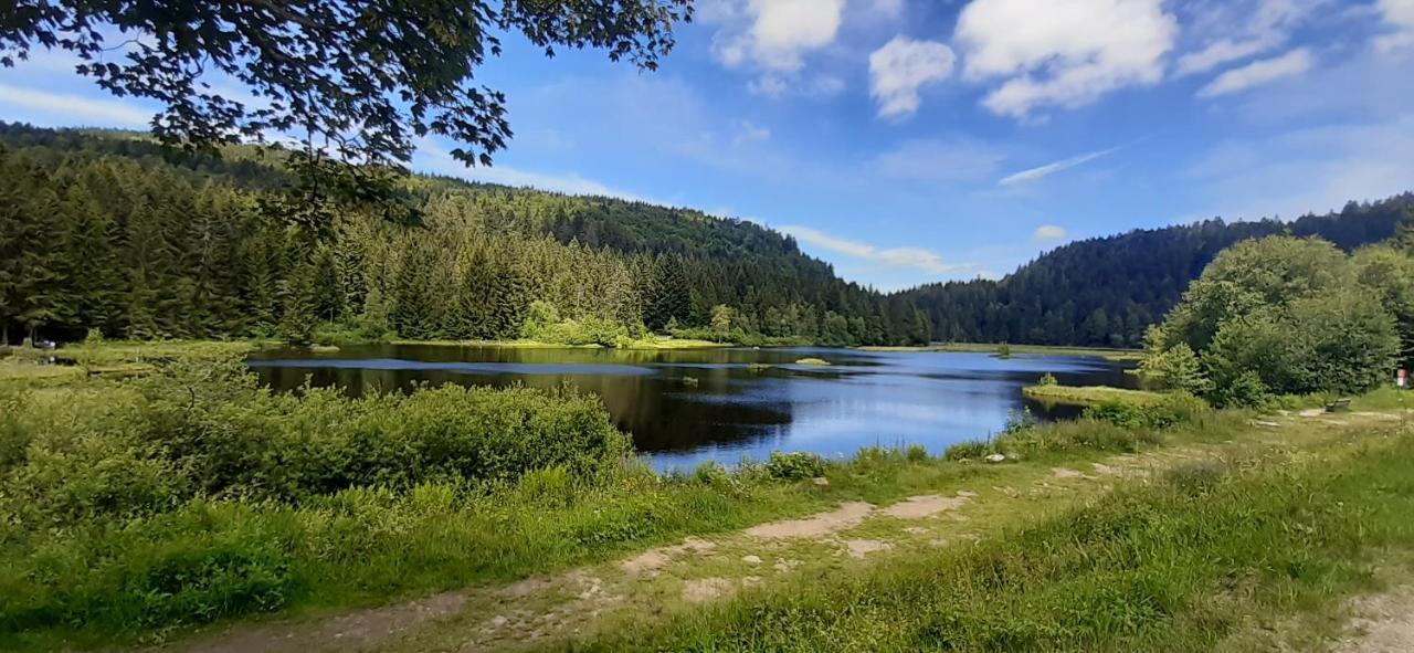 Le Montagnard Apartment Gérardmer Екстериор снимка