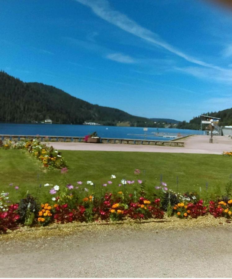 Le Montagnard Apartment Gérardmer Екстериор снимка