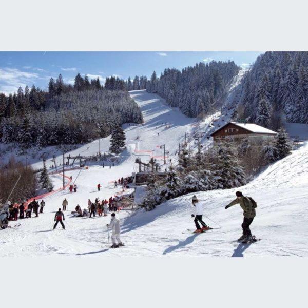 Le Montagnard Apartment Gérardmer Екстериор снимка