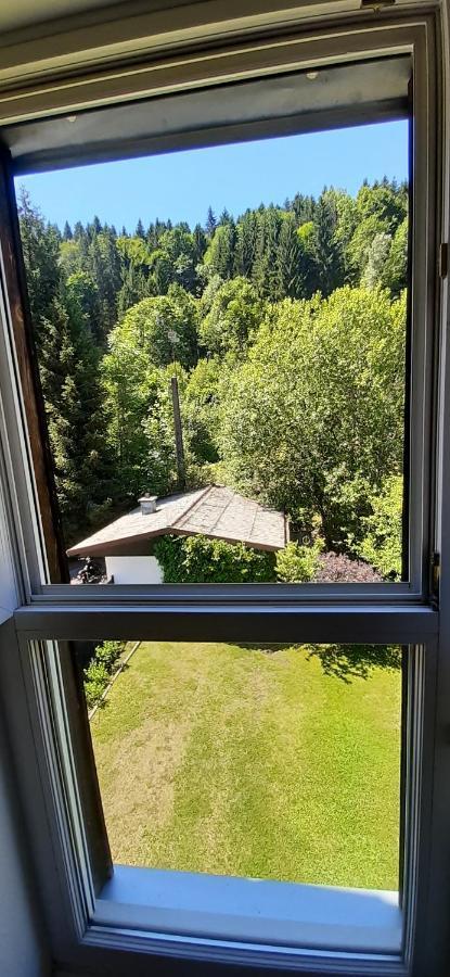 Le Montagnard Apartment Gérardmer Екстериор снимка