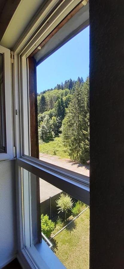 Le Montagnard Apartment Gérardmer Екстериор снимка